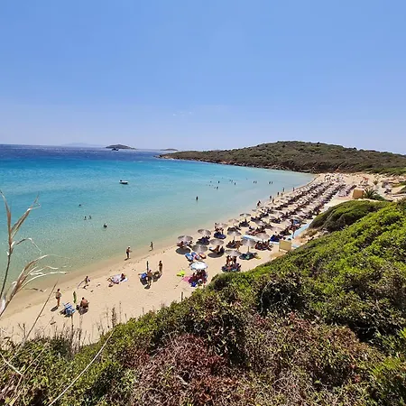 Niriis Mountain View Kymo *