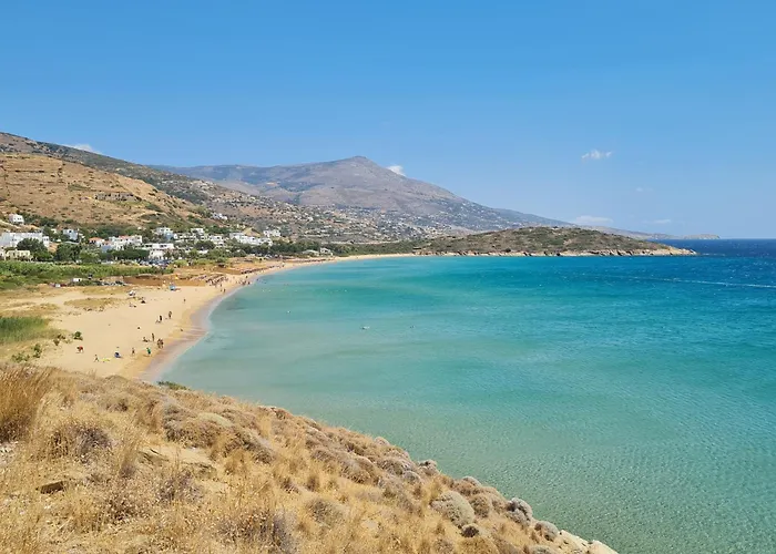 Daire Niriis Mountain View Kymo