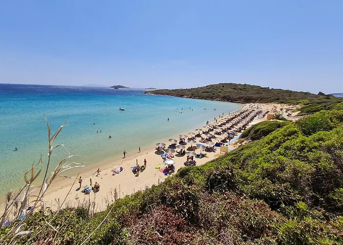 Niriis Mountain View Kymo *